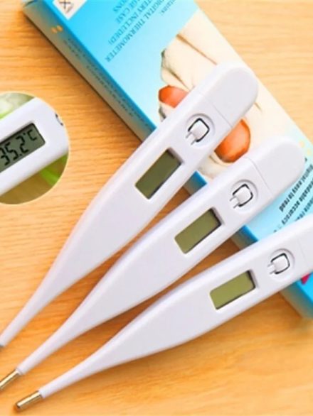 Digital Portable Child Baby Electronic Thermometer